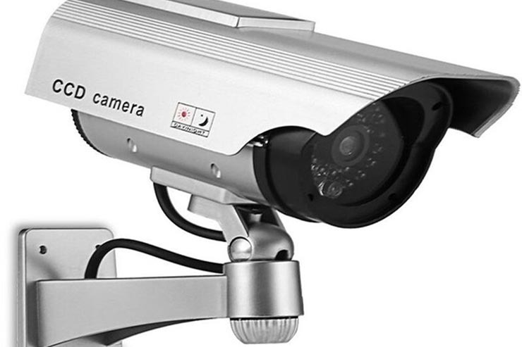 Safety and Security