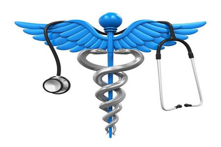 Healthcare Support